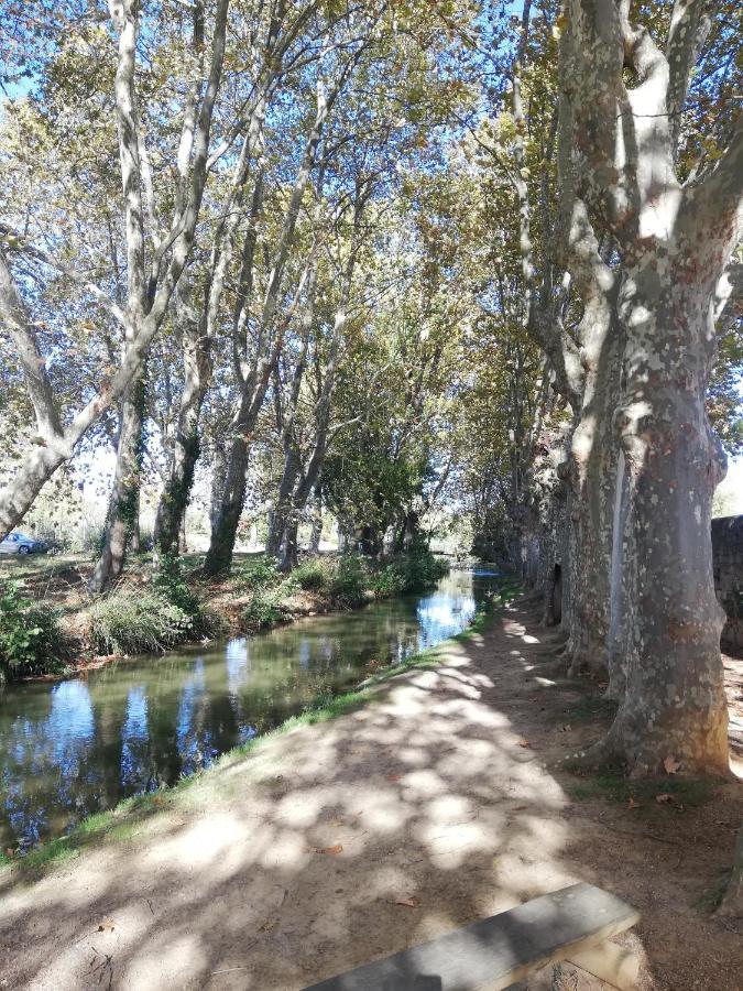 Appartement Sous Les Remparts Carcassonne Luaran gambar